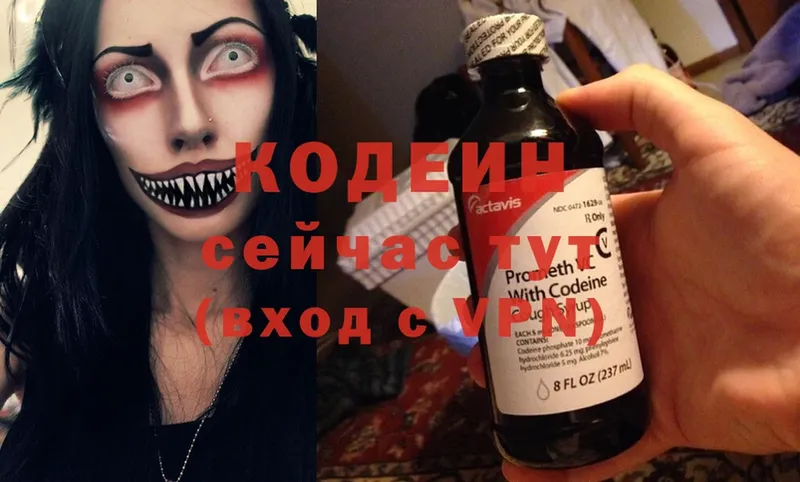 дарнет шоп  Камышин  Codein Purple Drank 