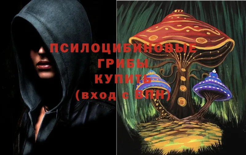 купить закладку  Камышин  Галлюциногенные грибы Cubensis 